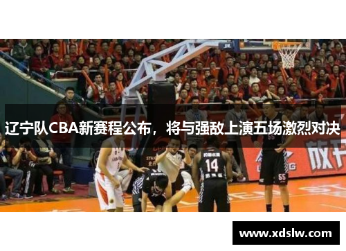 辽宁队CBA新赛程公布，将与强敌上演五场激烈对决