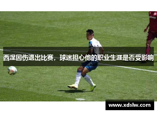 西涅因伤退出比赛，球迷担心他的职业生涯是否受影响