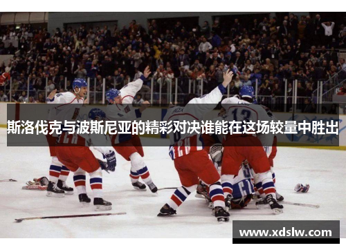 斯洛伐克与波斯尼亚的精彩对决谁能在这场较量中胜出
