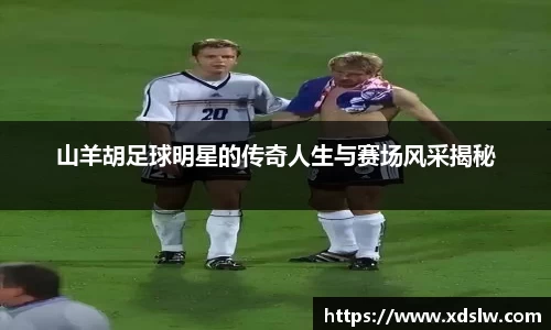 山羊胡足球明星的传奇人生与赛场风采揭秘